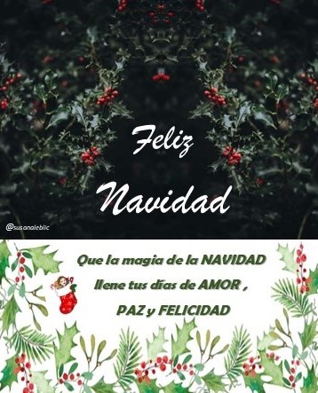 Que la magia🪄 de la 🎄NAVIDAD🎄llene tus dias de AMOR💓PAZ 🕊️y FELICIDAD💫🙂✨️