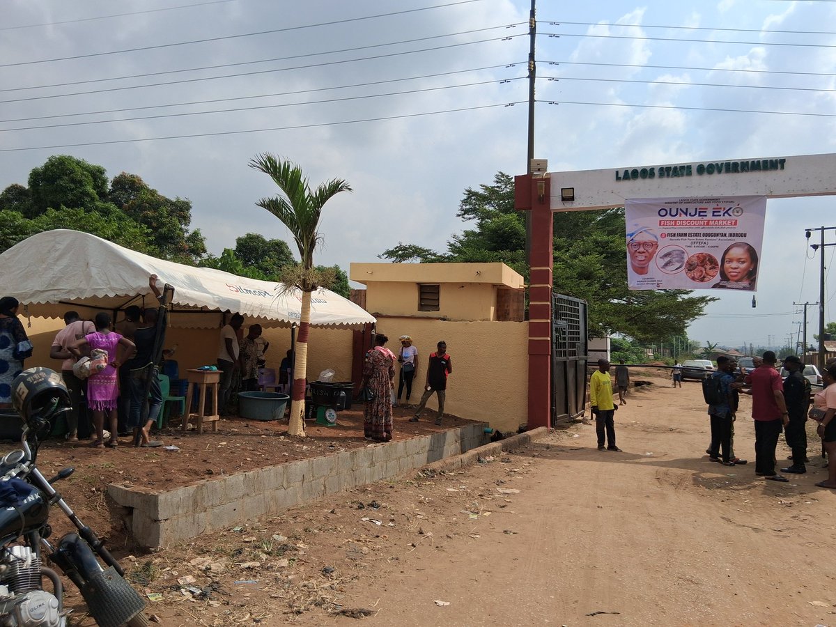 LASGFISHFARM's tweet image. Discounted fish sales now happening live at the Fish Farm Estate,  Ikorodu. 
Supported by the Lagos State Ministry of Agriculture and Food Systems, with the Ounje Eko discounted fish feed project.