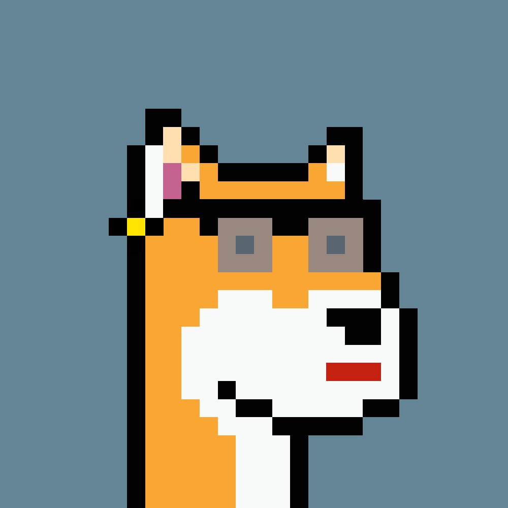 DogePunks tweet media