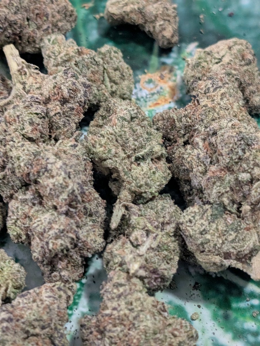 Mrbill51553000's tweet image. Happy Christmas Eve to you