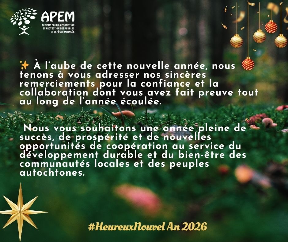 APEM RDC 1 tweet media