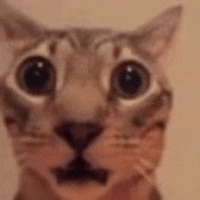 Delaware County Register of Wills tweet media