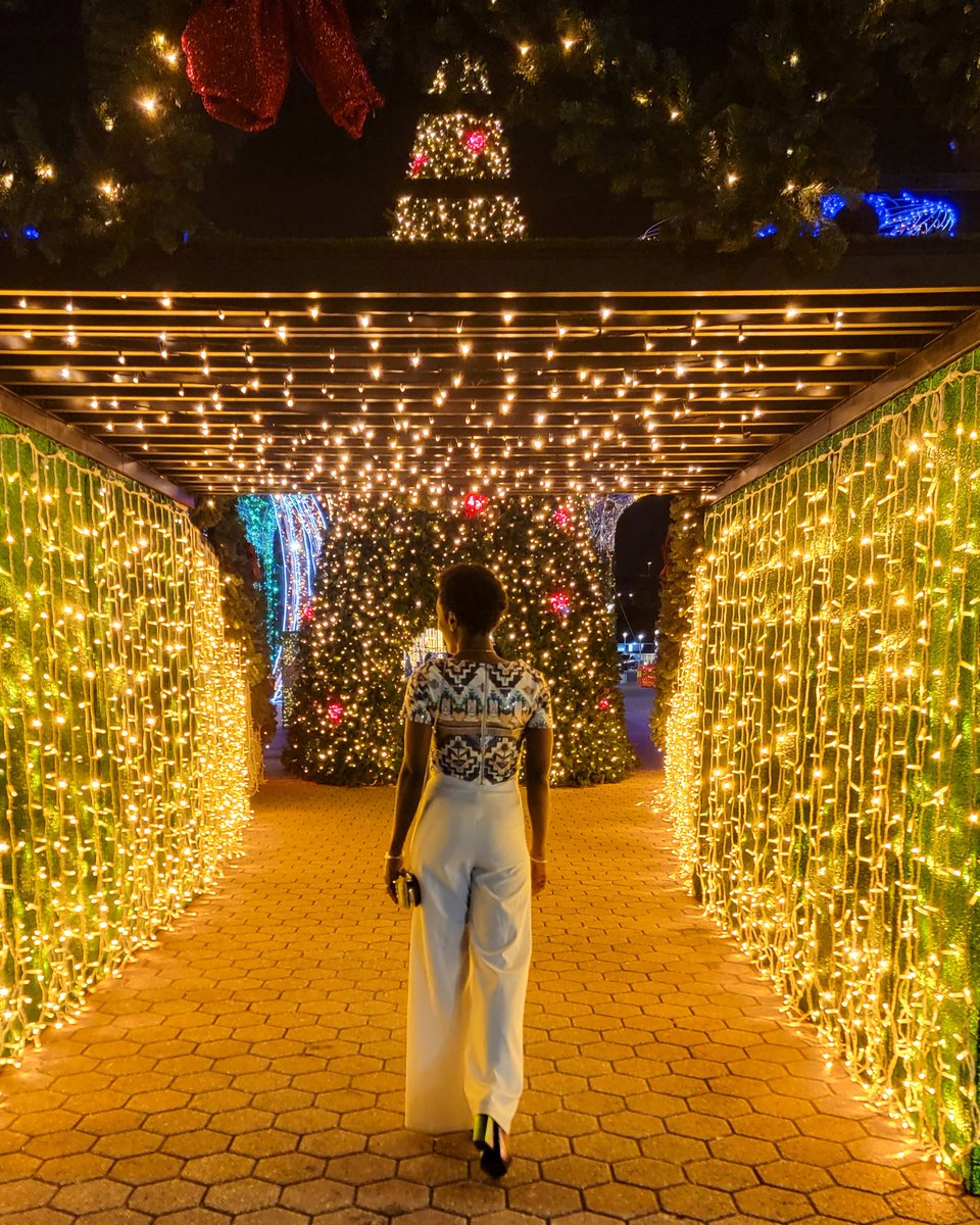 Mijn Fraaiwerkt nieuwsbrief met filmpjes, blogs, vacatures en inspirerende verhalen vanuit de eilanden. Bon Pasku &amp; Bon aña!

mailchi.mp/fraaiwerkt/fel…