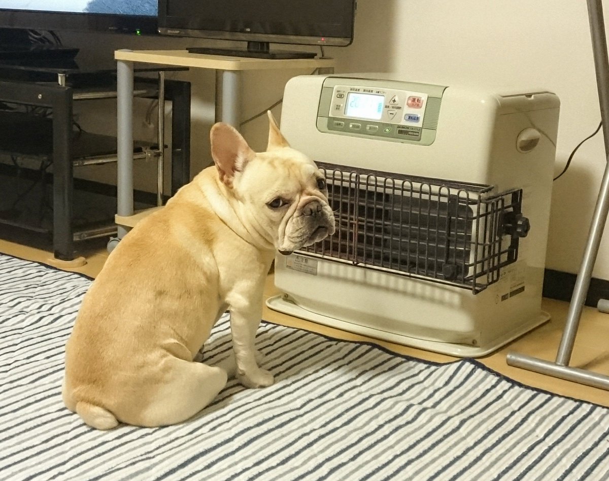 initial_kuro's tweet image. #2025年末バックショットグランプリ