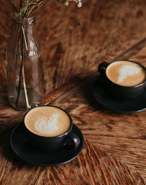 tomaszaurus's tweet image. まったり！ 😎