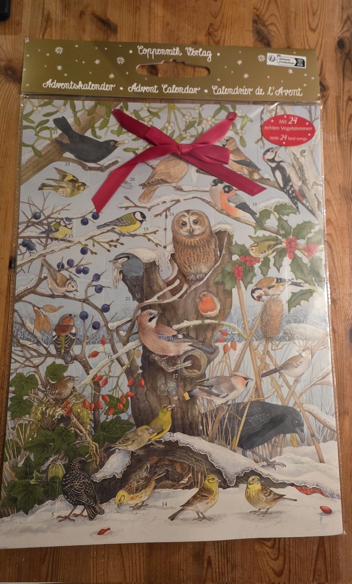 𝒯𝒽𝑒 𝐵𝑜𝑜𝓀 𝑜𝒻 𝑅𝒾𝓂𝒶 tweet media