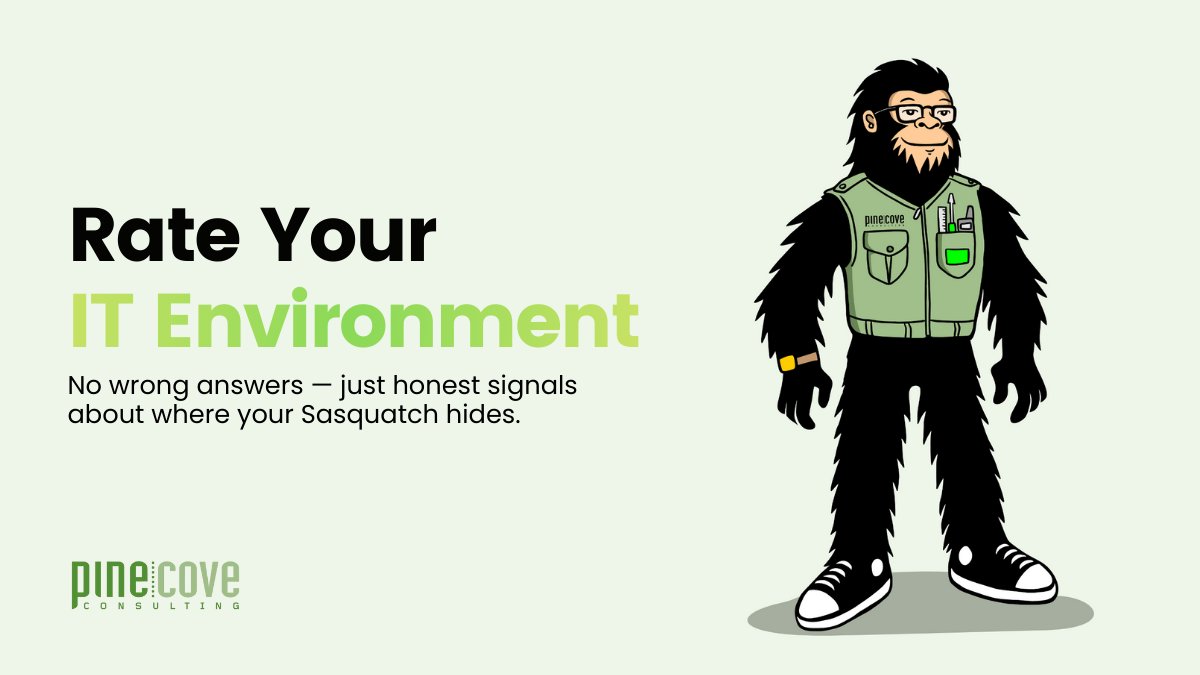 Pine Cove Consulting tweet media