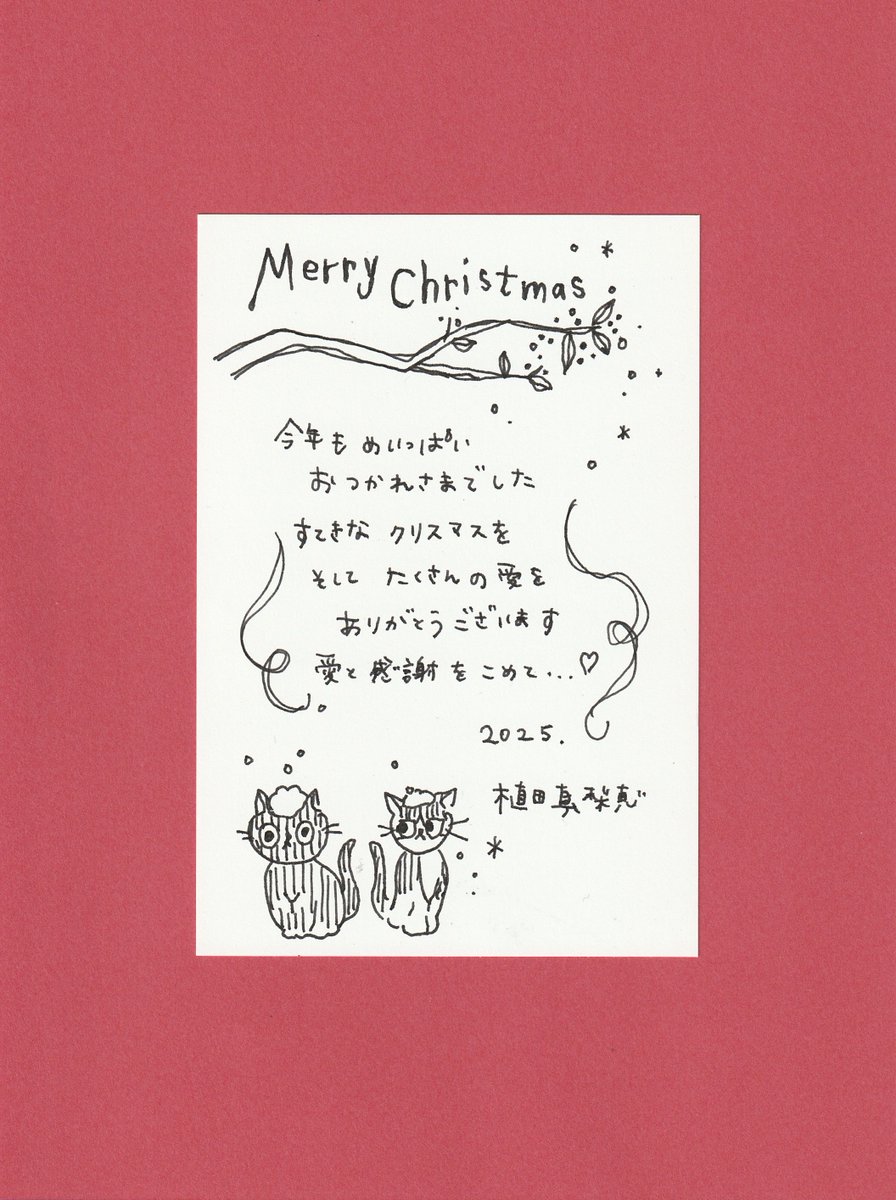 Merry Christmas ❄︎ ⍋*.＊