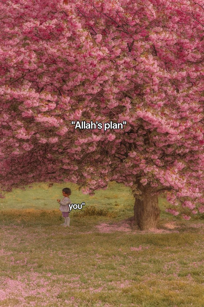 Dear beautiful soul, Ar-Rahman sees you, hears you, and still loves you.