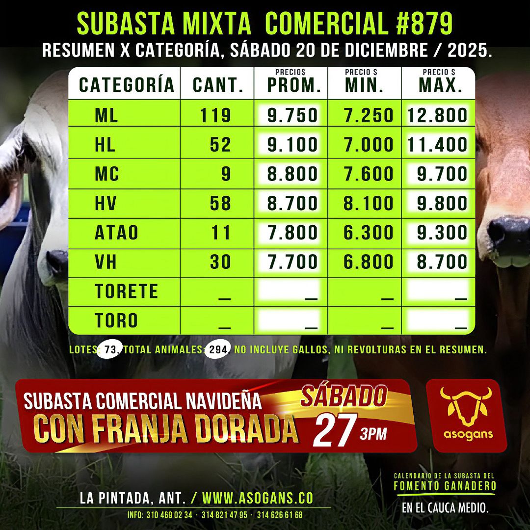LocalPintada's tweet image. Precios de la tercera subasta del mes de diciembre del 2025.
La invitación es para este sábado 27 de diciembre, subasta comercial navideña con franja dorada en la pintada Antioquia.
#Construyendoganadería @Fedegan @jflafaurie @PlArauca