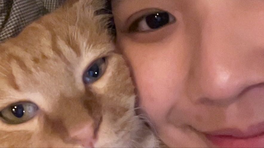 블루씨 tweet media