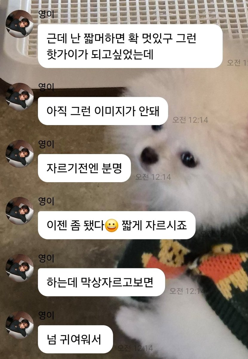 태영이 너무 귀엽다 진짜