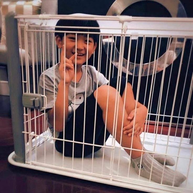 chungloversclub's tweet photo. context of cheolchangz is that both anxin and sanghyeon have photos of them in a cage (cheoljang) as kids 😭 https://t.co/2TMpr9k9oS