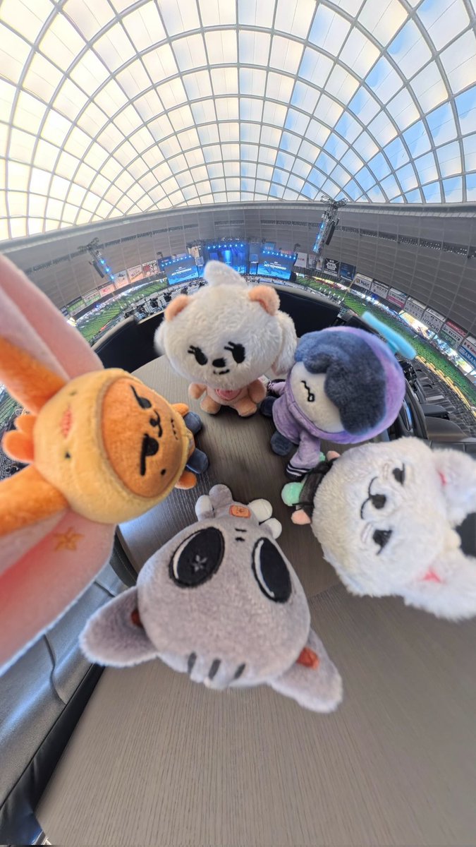 ゆきんこ🐰🦊🐻🐿🐧 (@4kObN23sZjuyZG8) / Posts / X