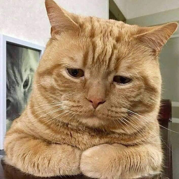 จอมมารก็มีหัวใจ ♥️😉⌒✧* נ м ѕ tweet media