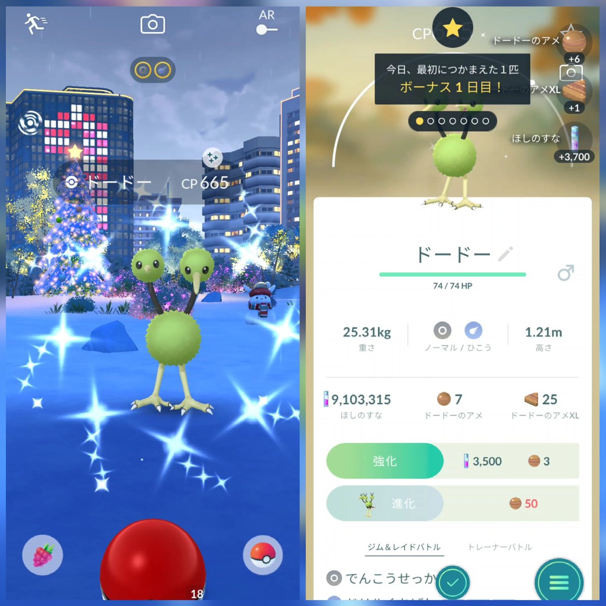 昨日皆が『明日は色違い出ますように！』って祈ってくれたおかげで色