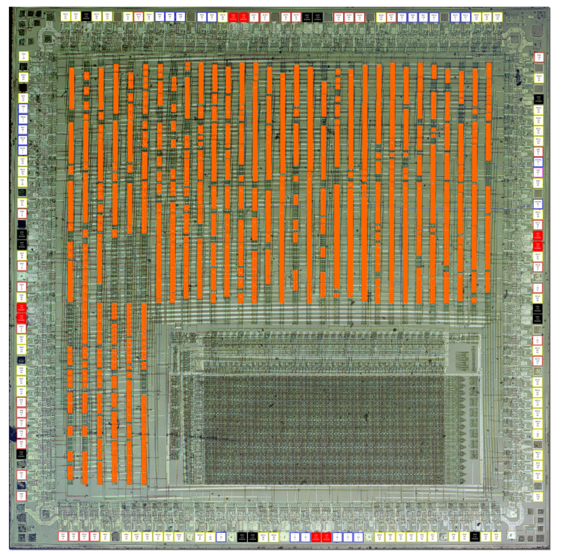 イカビク tweet media