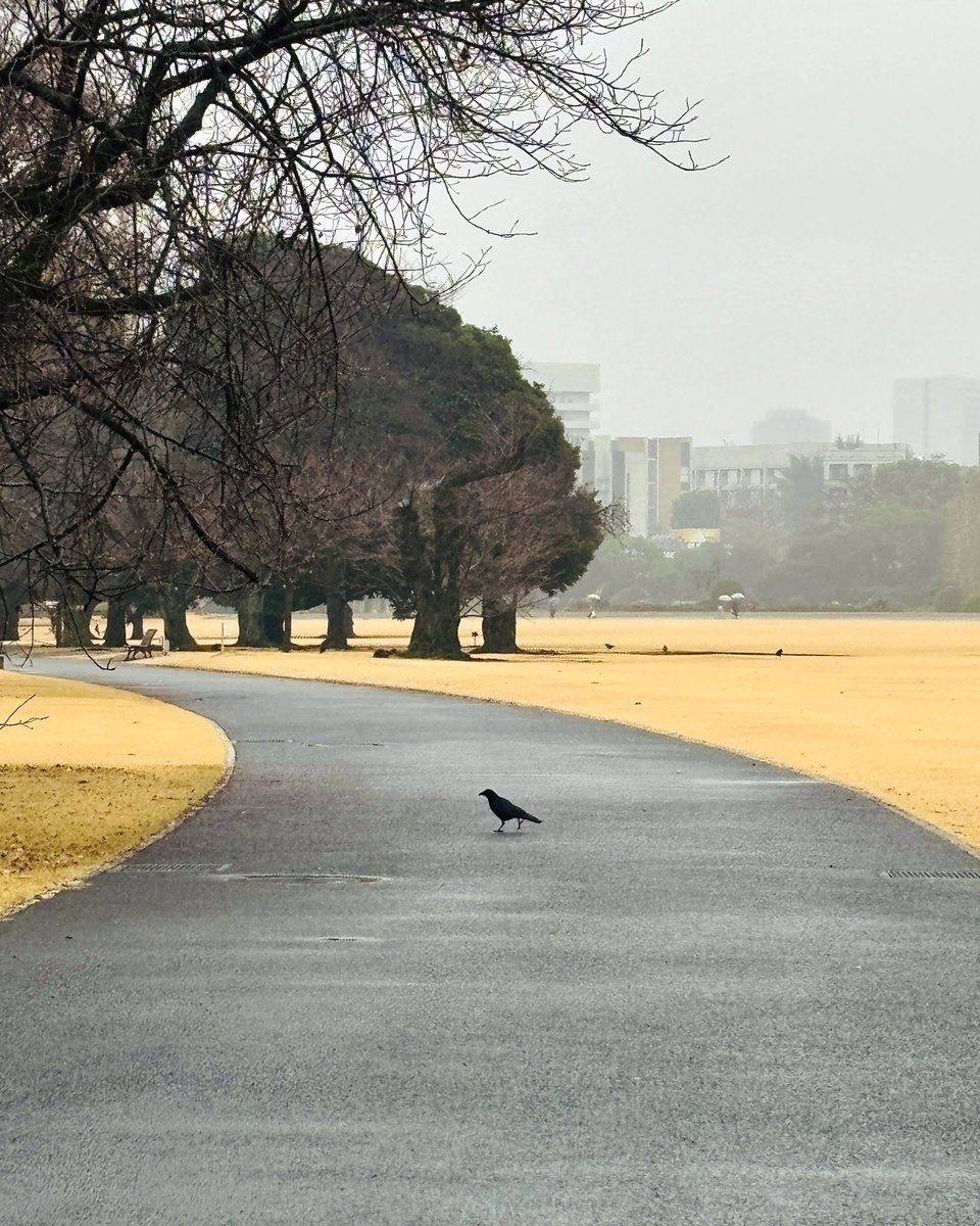 歩いてます。 #crow