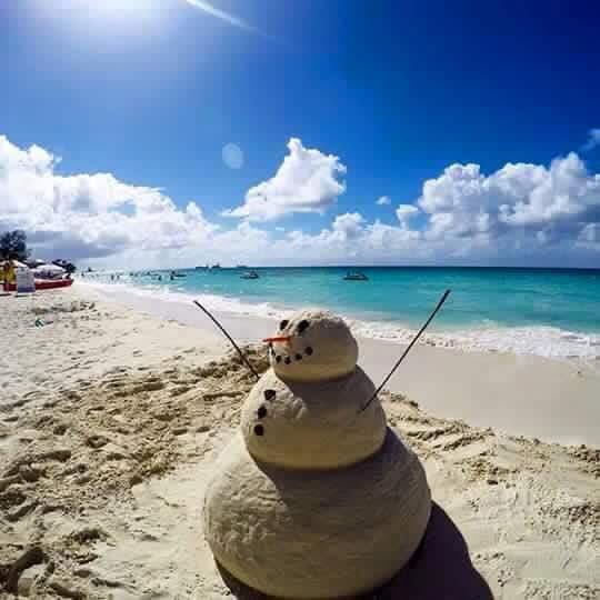 Que todo lo que deseas se cumplas. Felices fiestas 🙏🏼❤️✨