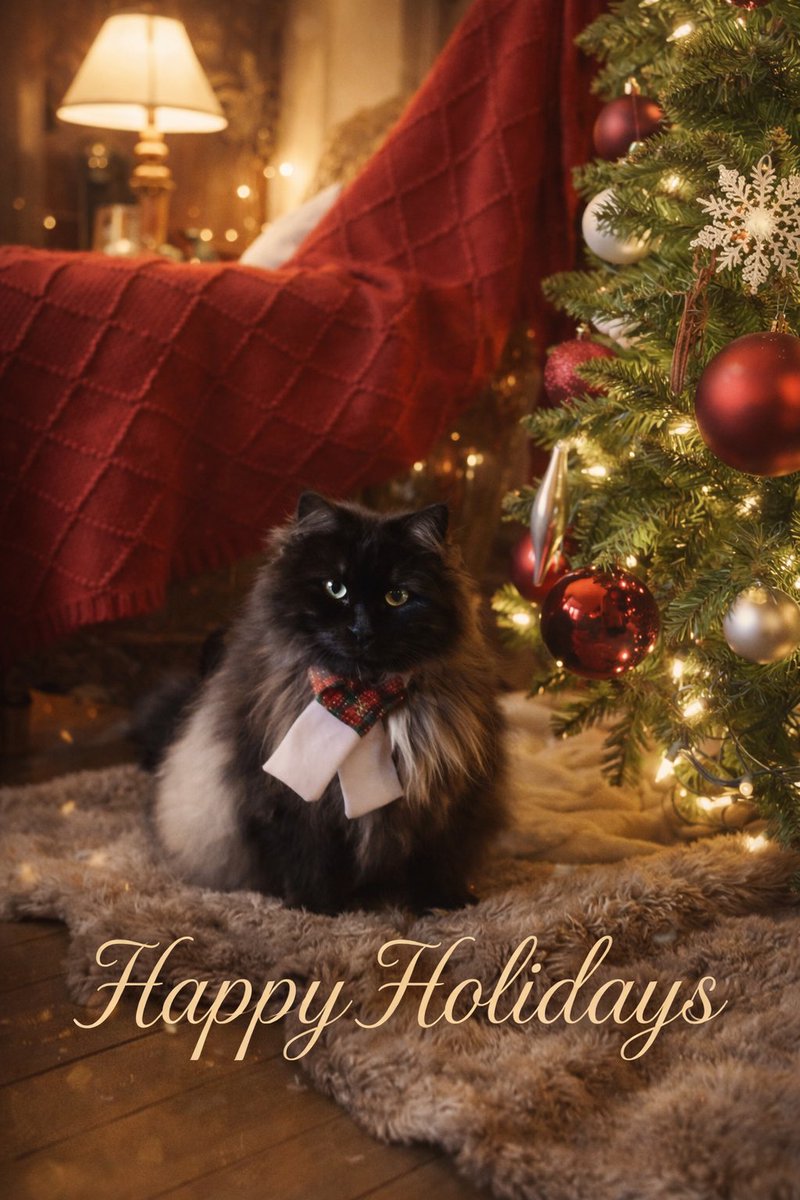 amandamricks's tweet photo. It’s that time of year-the holidays! Here’s wishing you all a wonderful Christmas Eve. And whichever holiday you celebrate I hope you feel love and companionship. #MerryChristmas #Christmas #HolidaySeason Here’s a card with my beloved cat Willow. https://t.co/nCb8gCvpHR