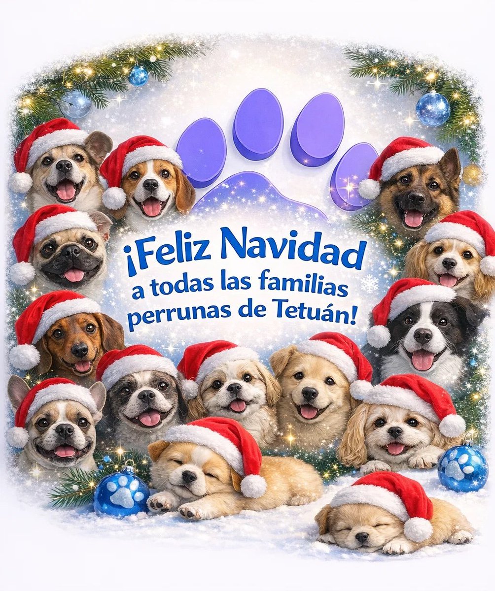perrostetuan's tweet photo. https://t.co/KKlcN5kqU7