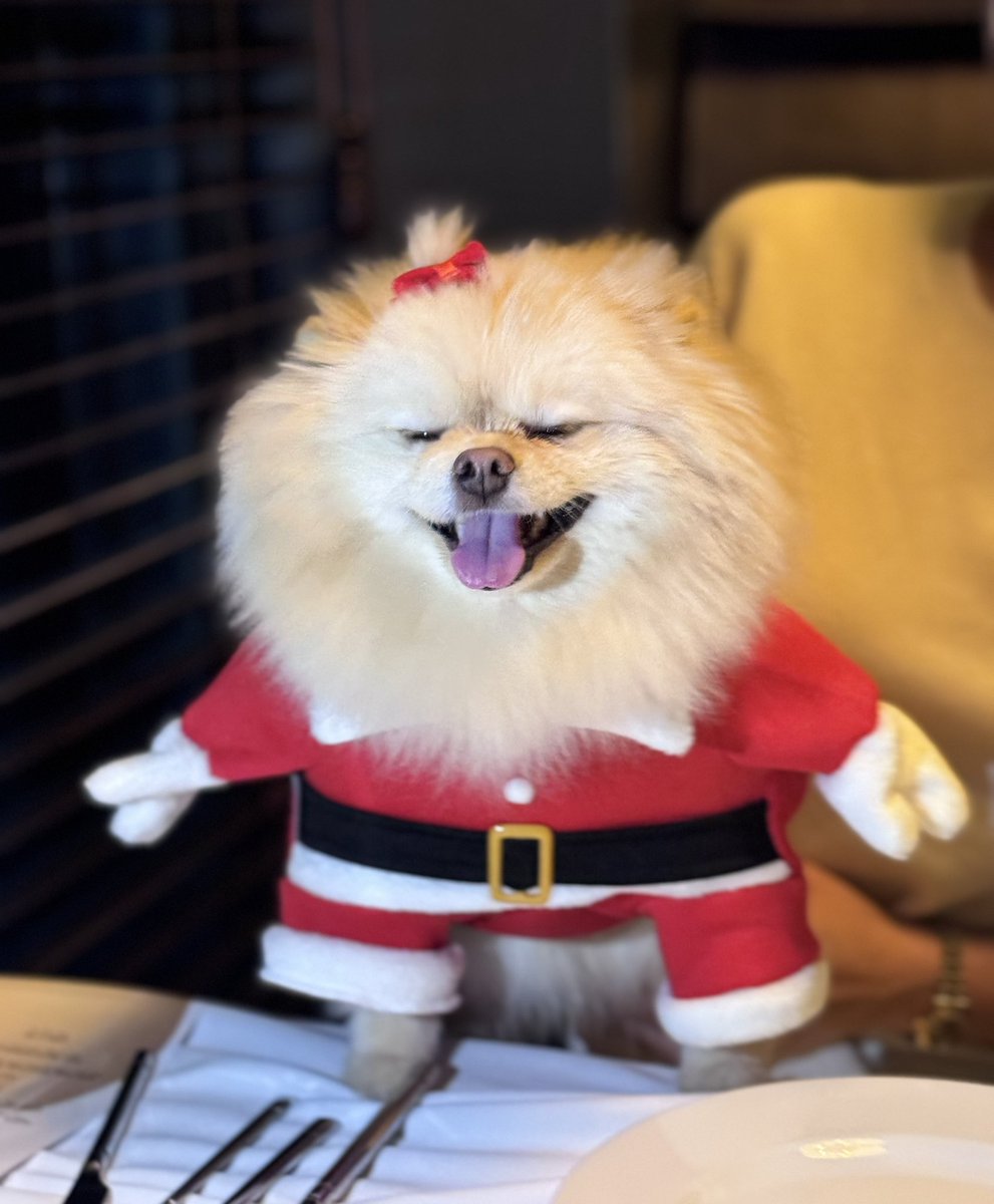 언냐 오뺘들 메리크리스마뜨🎄
다들 건강하고 행복 가득한 연말 되세요