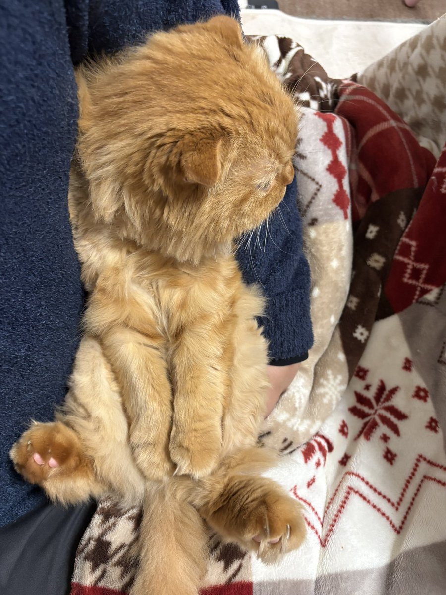 ヤッホー　（23日まで） KRIFF MAYER（クリフメイヤー） スリッポン メンズ 靴 スニーカー