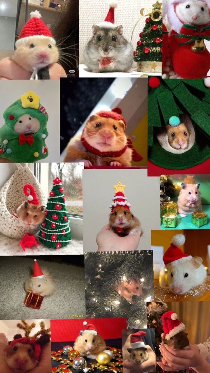 Merry Christmas ✨ 🎄 
⋆˚◡̈ ☆₊⋆ 🎄 ⋆🎠 ☆ * ⋆
˖✧♡🧤✨ °₊·ˈ∗🧣.❅•⋆
❆⋆🪵𓍯🧸🧣ꔛ🛌❅𖢔𐂂꙳☃︎𓏲
𓋜𓐬𓂃 ‧❆ ₊⋆⋆꙳•❅• •❆ ₊⋆⊹
🌃🛷𖠚ᐝ:🎄˚₊⋆☃︎⋆꙳•𖠋𓍄𓇥