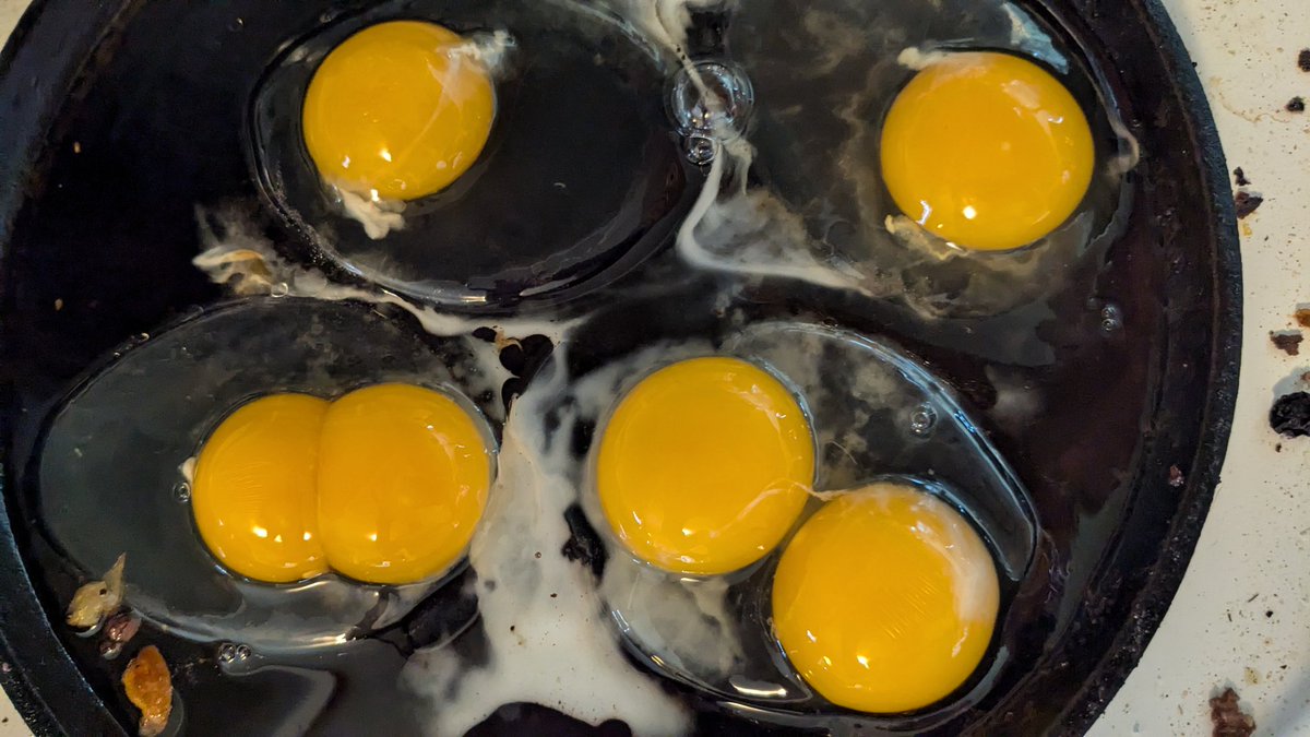 I never put much stock into omens, or signs, it's all superstitious hoopla. 
However my wife took one look at the eggs I'm cooking this morning, paused for a moment and got really anxious. 🤷‍♂️ #twinthings.