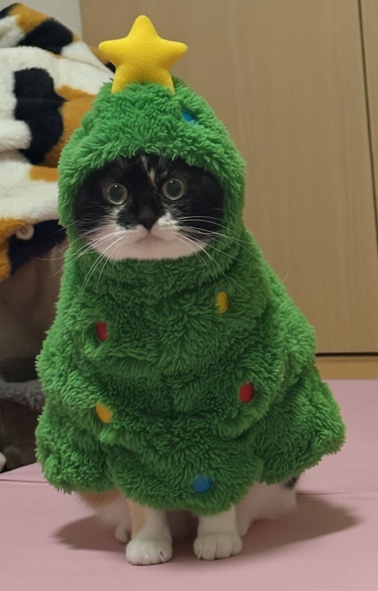 雷十太先生 (@asjSvnCZl18wKXM) / Posts / X