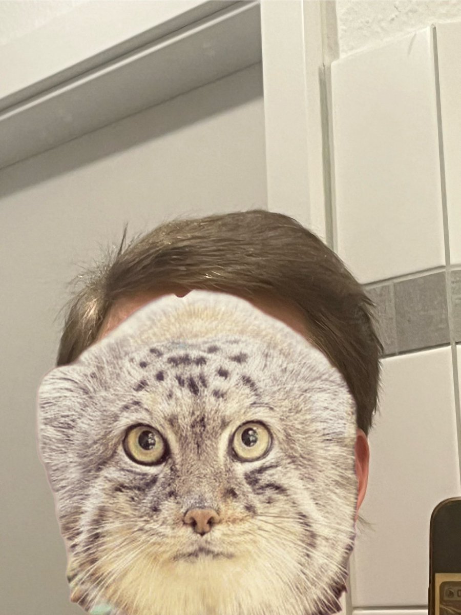 Thinking Abt getting a buzzcut again what we thinking Chat?!