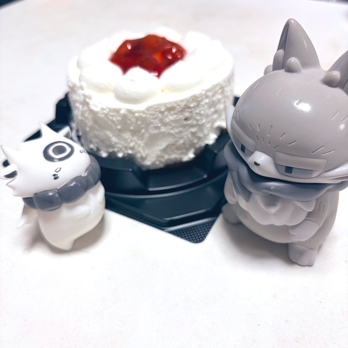 more-cats (@morecats4) / Posts / X