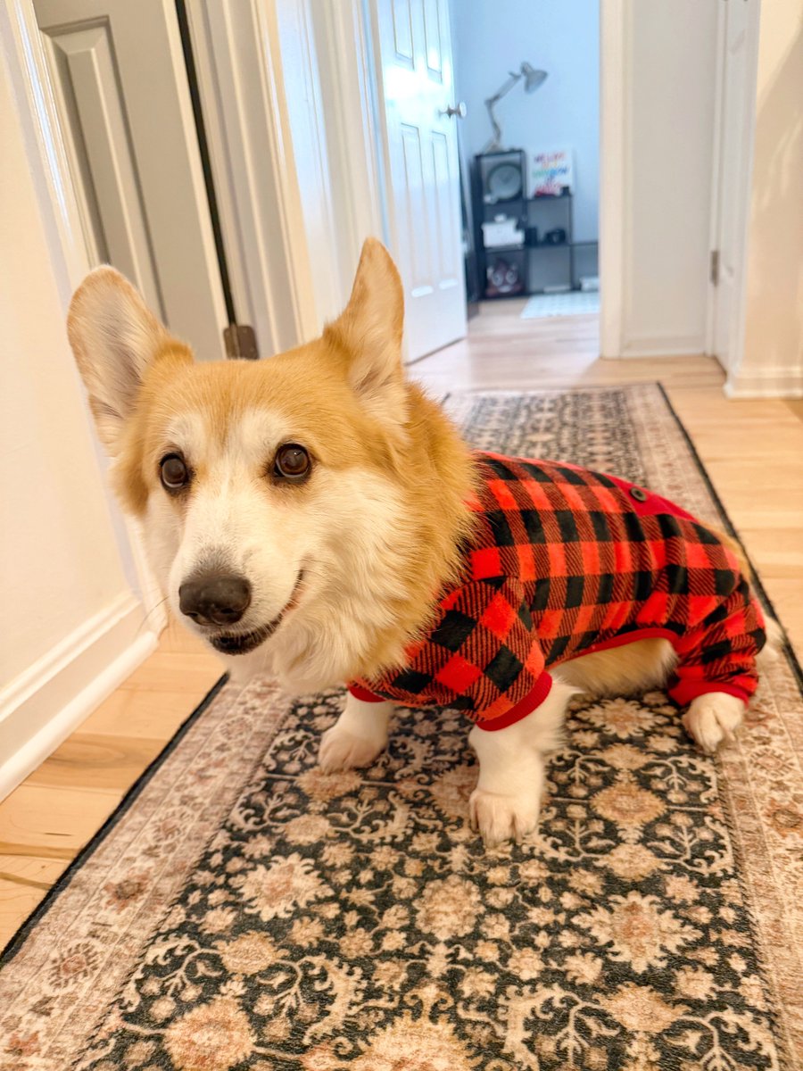 Girls Pajamas Kids Corgi Pajamas Corgi Dog Corgi Print Pajamas Corgi Pajamas  Kids, image size:900x1200