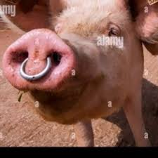 Dereck Hardman tweet media