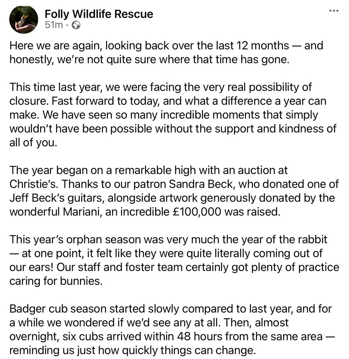 Folly Wildlife Rescue tweet media