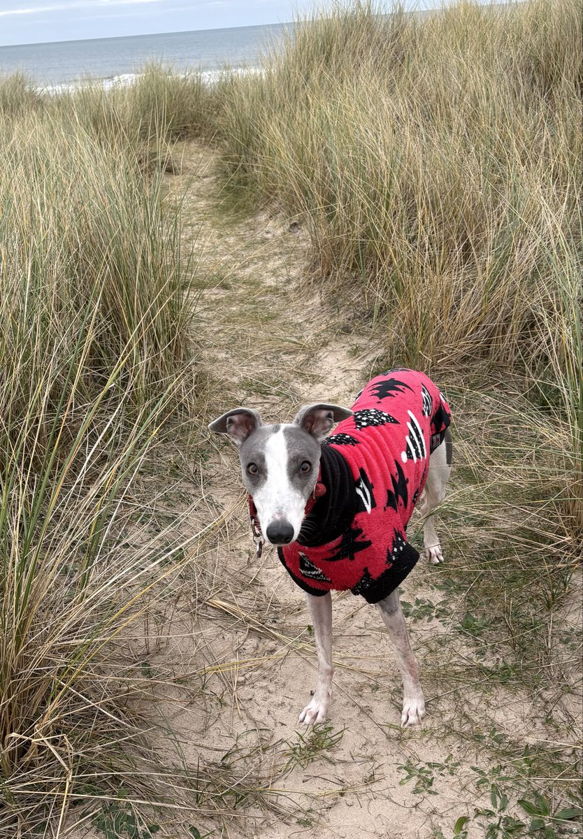 Miss Underscore tweet media