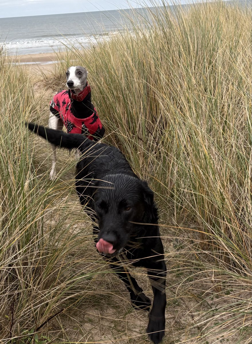 Miss Underscore tweet media