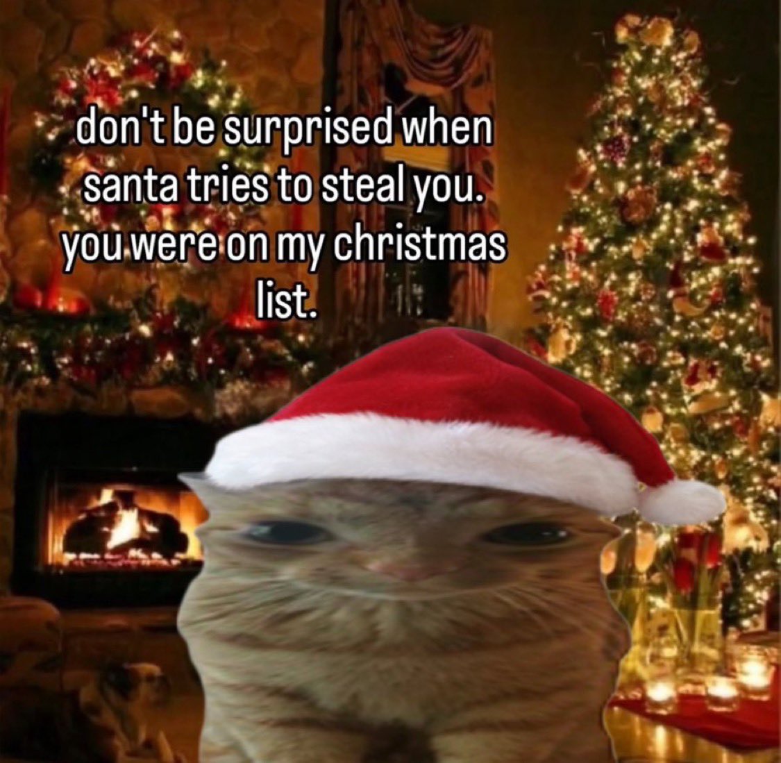 gakstercat's tweet image. 