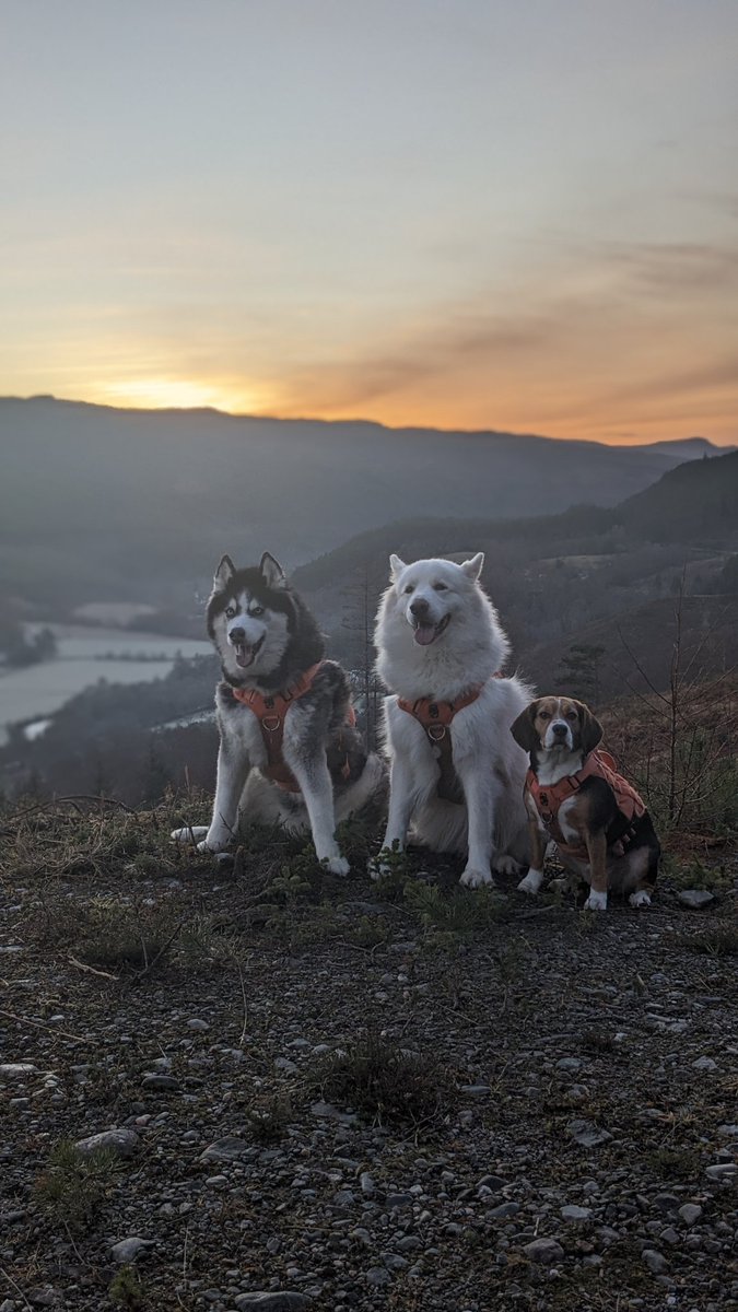 TheDarkLaw 🏴󠁧󠁢󠁳󠁣󠁴󠁿 tweet media