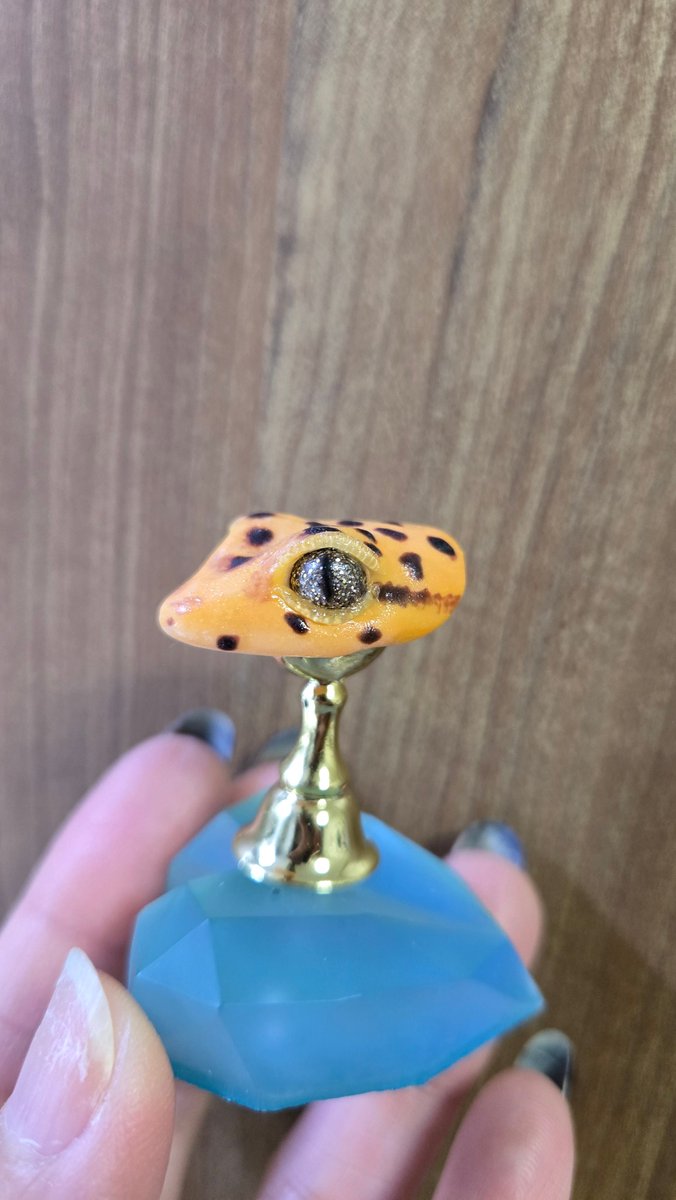 初期に作ったディスプレイ用の見本のレオパちゃんのまぶたがずっと気に