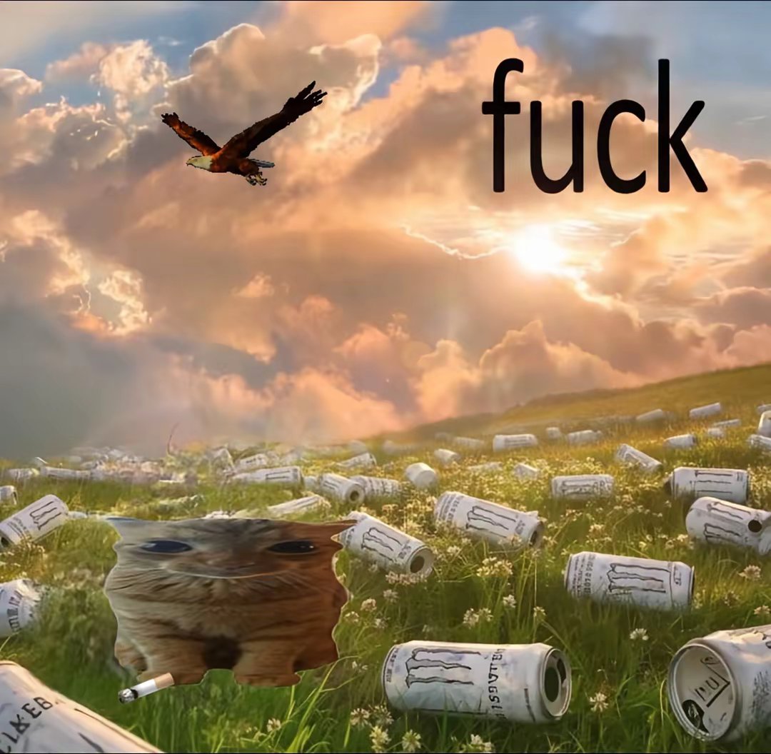 Mads (@madsposting) on Twitter photo 