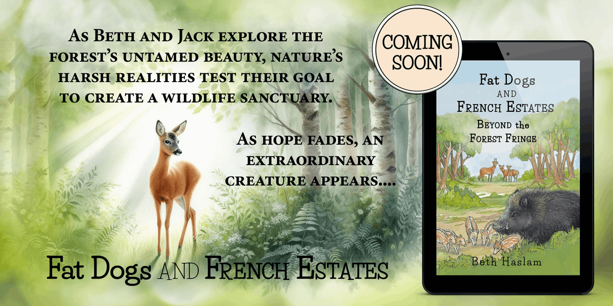 fatdogsfrance's tweet photo. It's a story I've been dying to share with you for ages. It's finally available for pre-order. Join my Fat Dogs and me in our magical French forest, but beware. All is not as it seems. 🐾🇫🇷 #BookSpotlight #Christmasgifts #AnimalLovers https://t.co/4L76OxOJ8F https://t.co/viZTfC3PQD