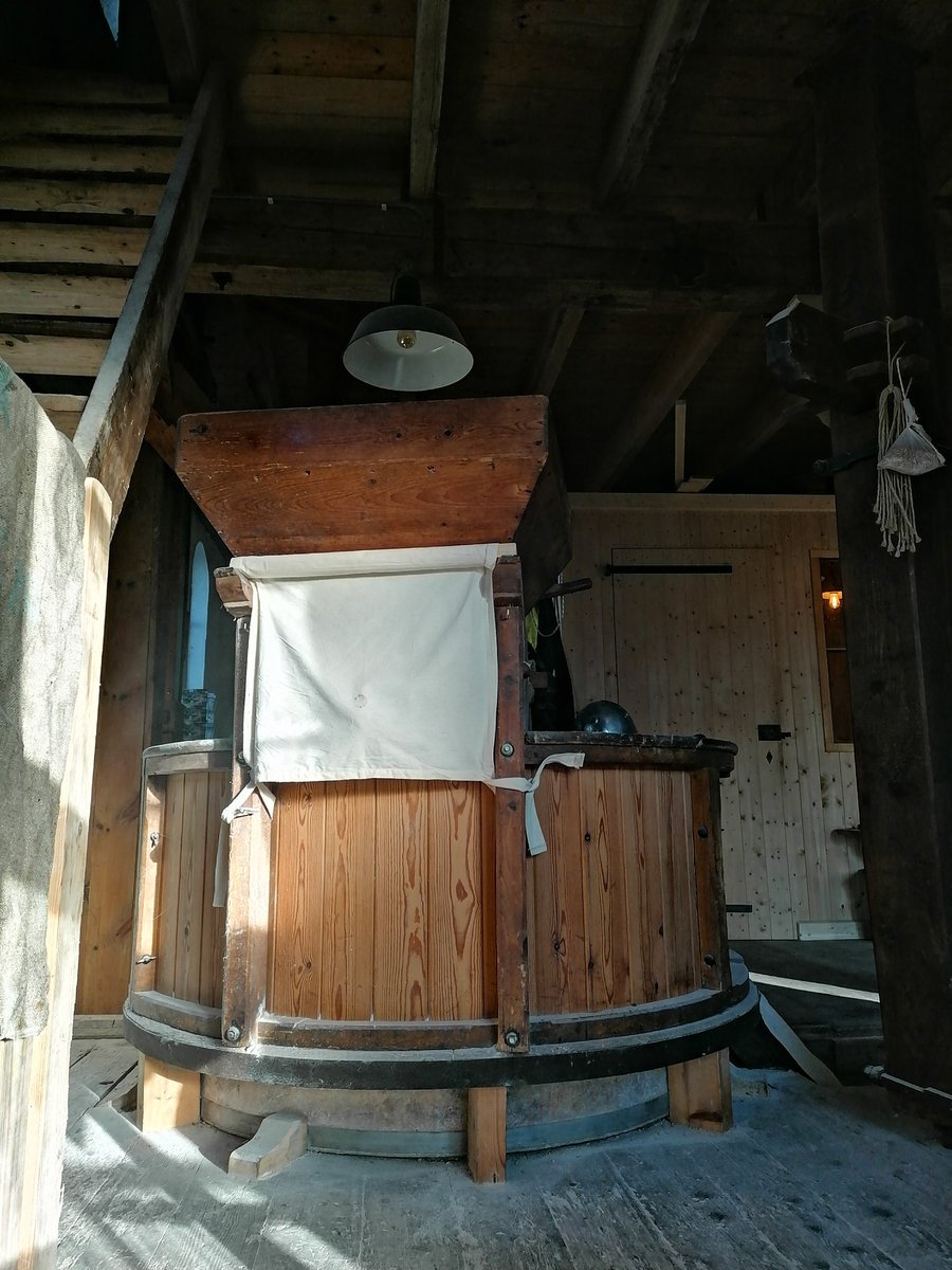 Mayke Bronkhorst tweet media