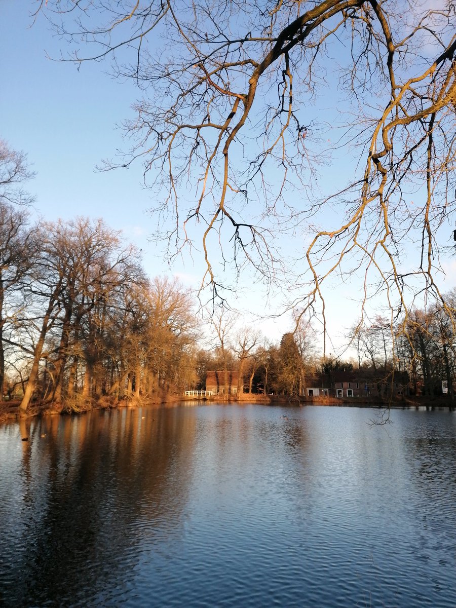 Mayke Bronkhorst tweet media