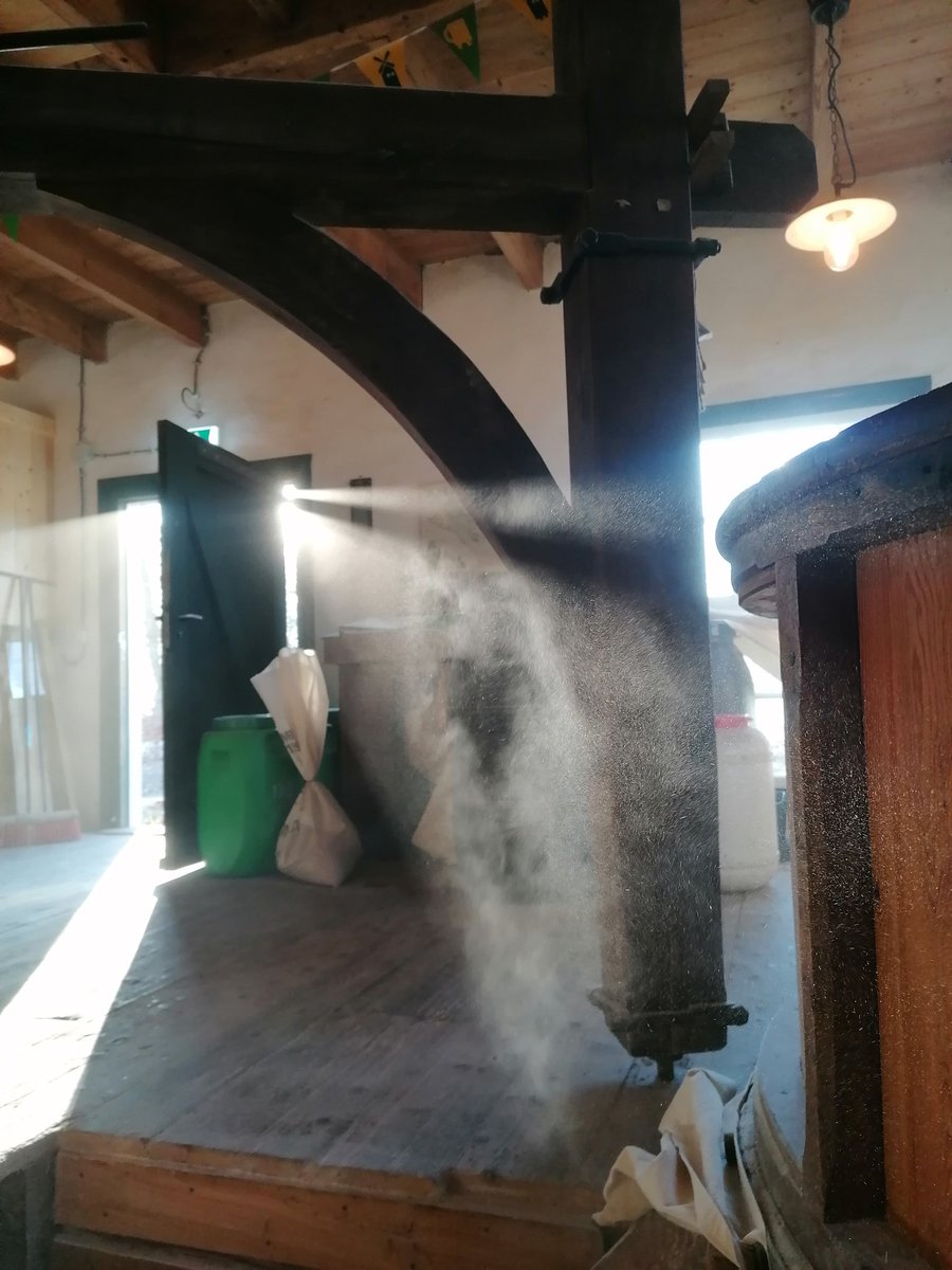 Mayke Bronkhorst tweet media