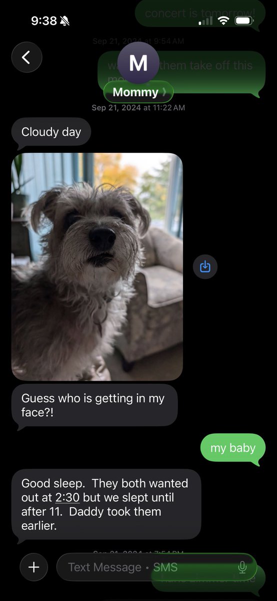 Tyra ♡ 🫧🐾 tweet media