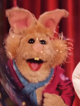 Shishagumi's tweet image. THEY'RE BACK ❗❗❗❗❗