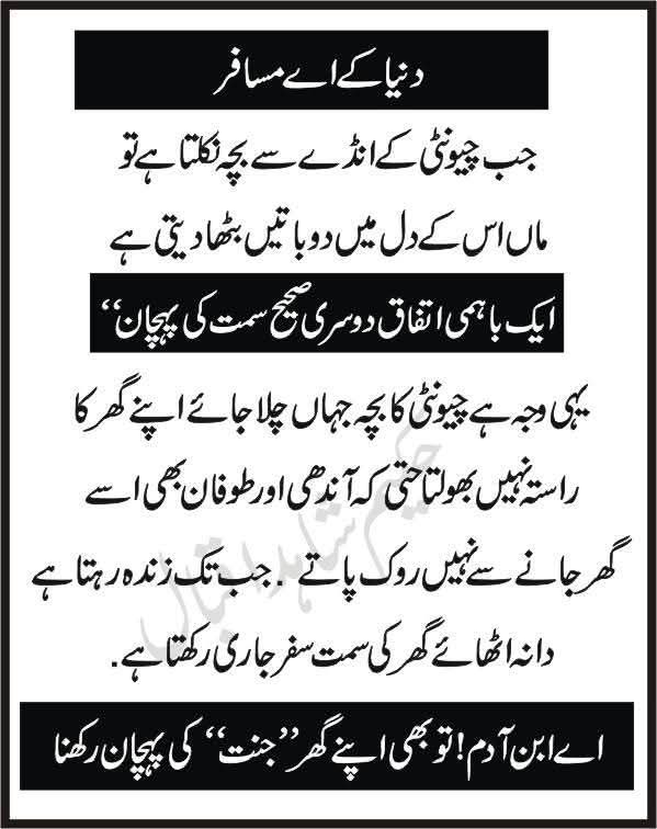 MuhammadUm10485's tweet photo. https://t.co/3Tvgn8wM8a