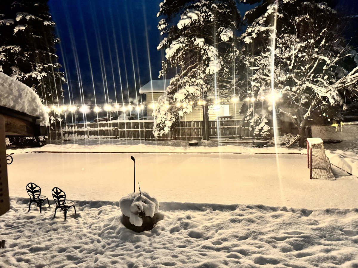 Beleafer tweet media