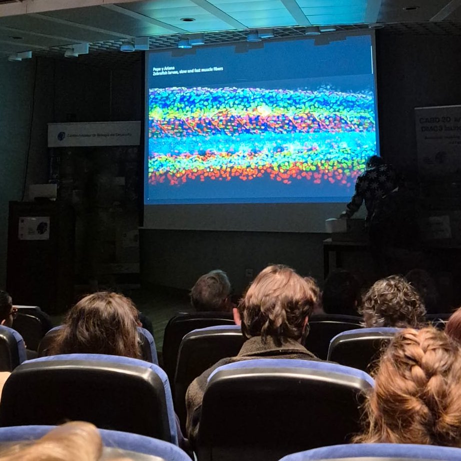 🏆 Scientific Photo Competition organized by Jelena Raspopovic and Luciano Marcon 

🥇Javier Valle
🥈Sol Sotillos
🥉Pepe Urbano y Ariadna Crespo